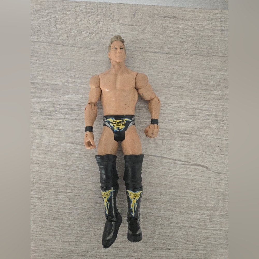WWE Action Figure Chris Jericho Mattel Elite Lost Legends 2011 WWF WCW AEW